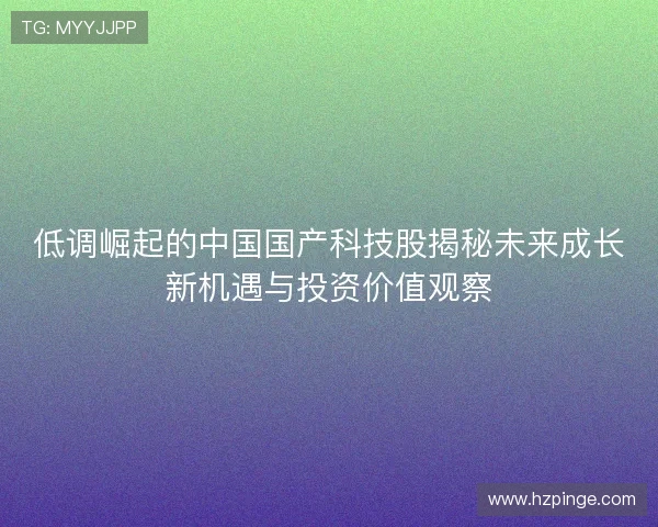 低调崛起的中国国产科技股揭秘未来成长新机遇与投资价值观察